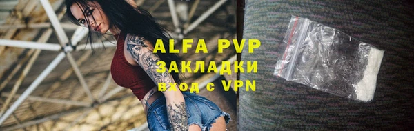 гашик Нефтекумск