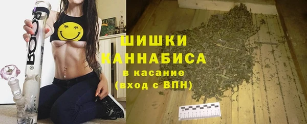 гашик Нефтекумск