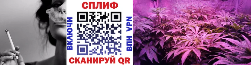 Конопля Bruce Banner  как найти закладки  Белоярский 