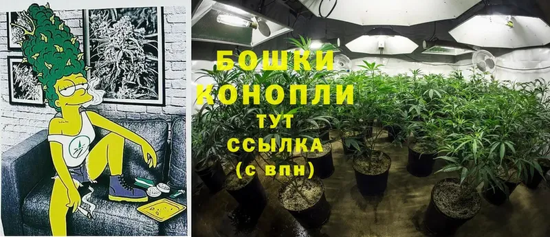 где купить наркотик  Белоярский  Бошки Шишки Bruce Banner 